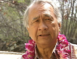 Sen. Gil Kahele (file photo)