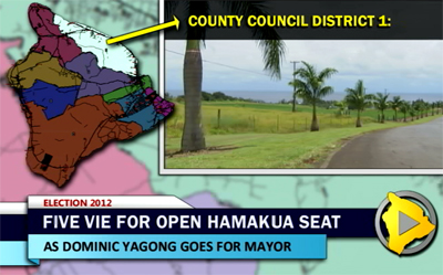 VIDEO: Hawaii County Council District 1 race