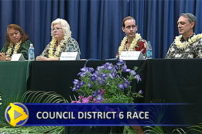 council county hawaii district race
