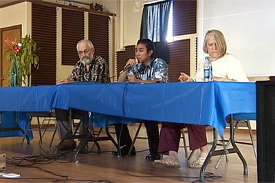 VIDEO: Hawaii County Council district 4 race