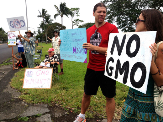 This anti-GMO sign waving in Hilo was the first of a planned day of demonstration island-wide