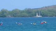 Kayakers in Kealakekua Bay in summer, 2012
