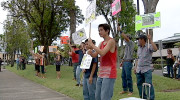 Papaya growers support GMO at Hilo rally