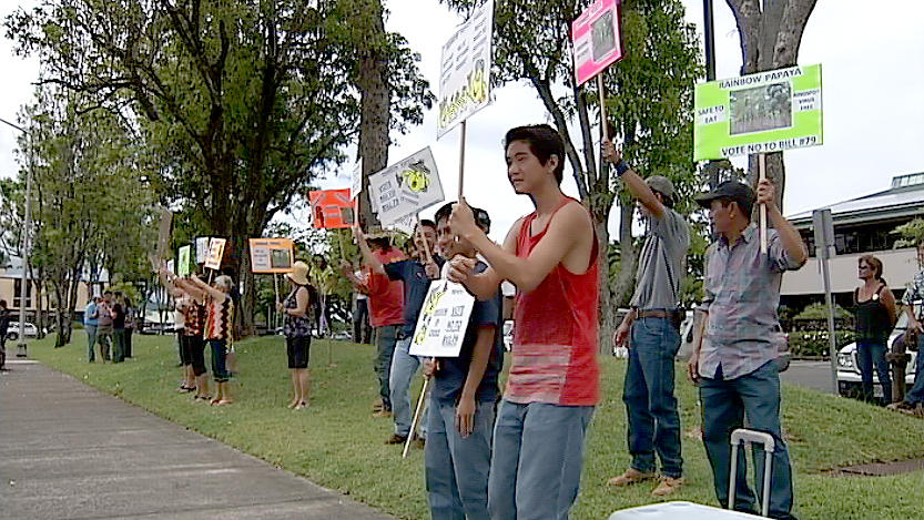 VIDEO: Pro-GMO rally encircles Hilo government buildings