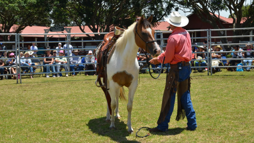 Demonstration held during the 2012 Hawaii Horse Expo