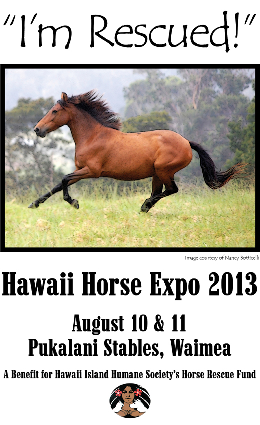 Horse Expo Flyer