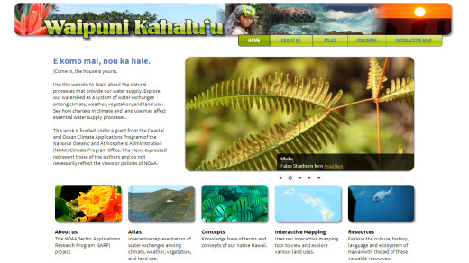 Screen grab showing the new Waipuni Kahalu‘u website