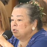 Hawaii County director appointments raise questions