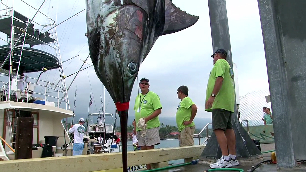 2022 Hawaiian International Billfish Tournament Cancelled