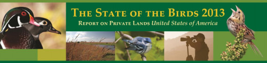 State of the Birds 2013 Report on Private Lands