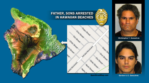 Hawaiian Beaches arrests, click to enlarge