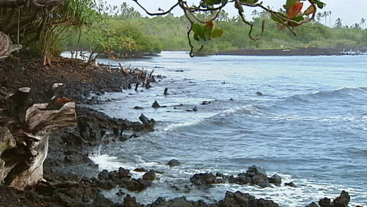 File photo taken at Isaac Hale beach park, facing north