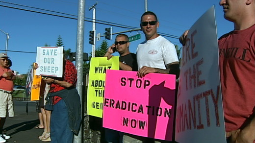 Sign waving outside Hilo DLNR