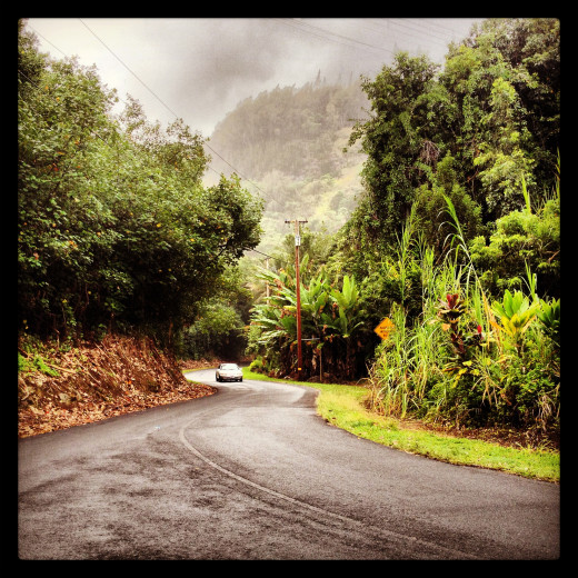 laupahoehoe access road