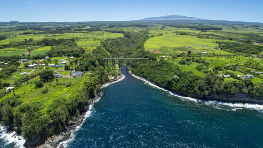 Hakalau Valley with Mauna Kea in the background, courtesy Beverly Molfino