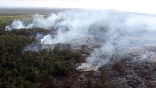 USGS photo: A closer view of the active flows at the forest boundary, and the numerous plumes of smoke resulting from active lava igniting ʻōhiʻa trees and other vegetation. 