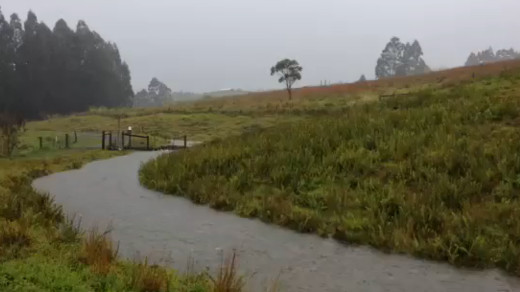 Laupahoehoe resident Judi Steinman shared some images of her goat pasture, which she says is normally dry.