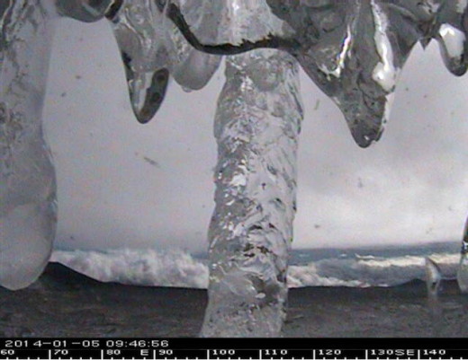Icicle, from Canada-France-Hawaii Telescope facing North NorthEast (9:47 a.m. HST)