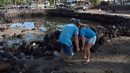 Kahaluu clean-up