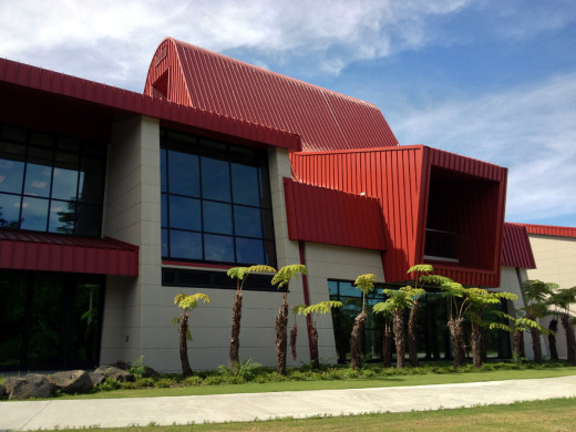 Hapu fern surround the distinct Hale'olelo building 