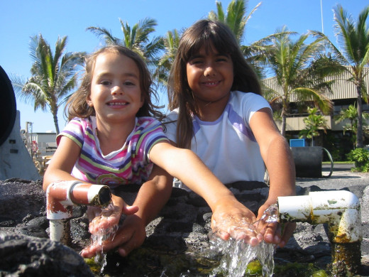 Keiki run hands through NELHA's cold water, courtesy State of Hawaii 