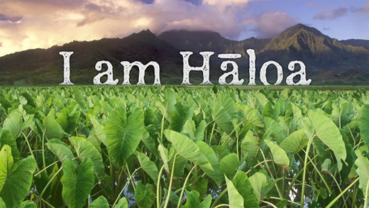 still frame from I Am Haloa promotional video, used with permission
