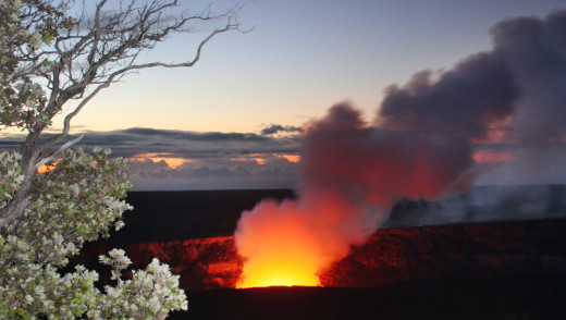 Halema‘uma‘u Crater in Kīlauea Volcano, framed by ‘ōhi‘a lehua tree. NPS photo/Jay Robinson 