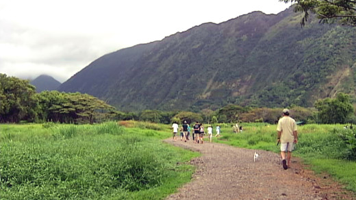 File image of Waipio Valley