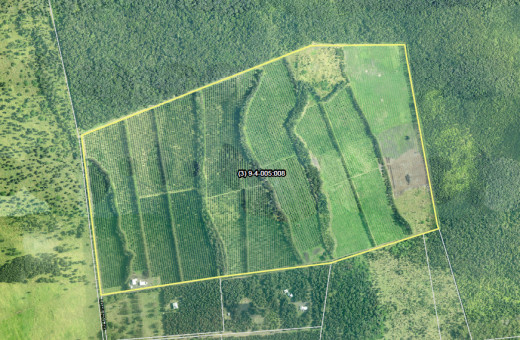 Map of Grassman Macadamia Nut Farm, courtesy PONC report