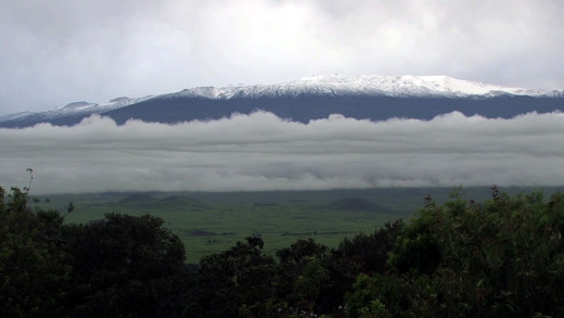 Mauna Kea covered in snow, as seen from Waimea