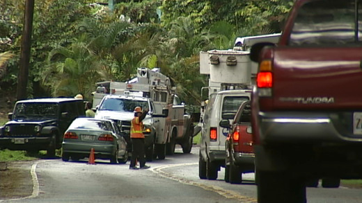 Downed trees close Puna road