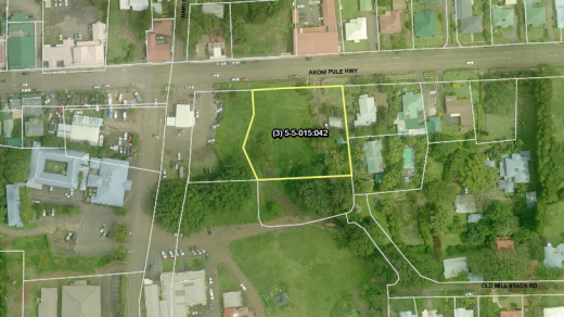 Map of the Banyan Tree Park area taken from the 2013 PONC Report to the Mayor