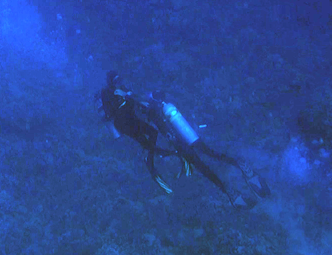 Still frame from the alternate video camara shows the moment of first contact between activist and fish collector.