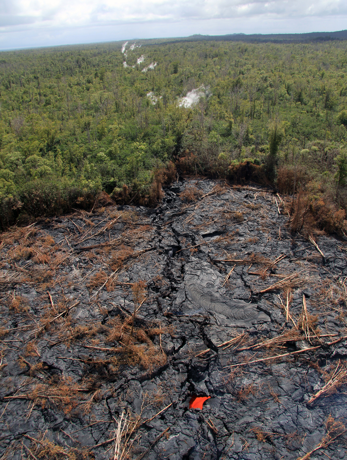 A view looking east, near the front of the southern lobe that has entered the crack. Lava is inferred to be present in the deep crack beyond the visible margin of the flow, based on the line of steam sources as well as a vigorous cascade of lava seen in a skylight in the bottom portion of the photo. (USGS HVO)