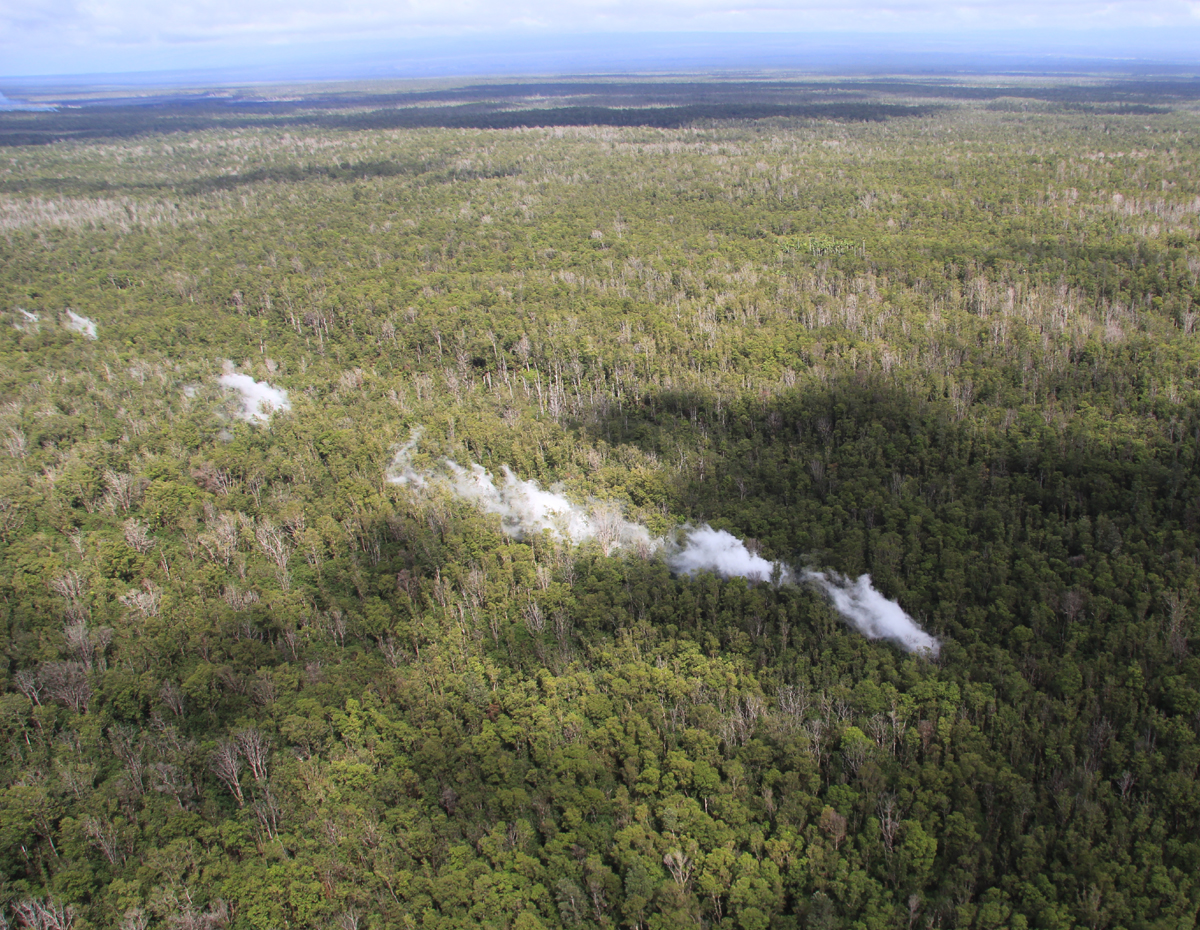 Looking west, this photo shows the far end of the steaming that extends out beyond the visible flow margin at the surface. (USGS HVO)