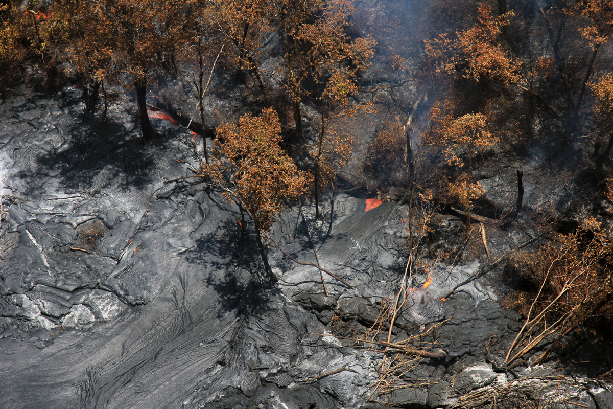 At the site of the isolated pad of lava near the leading edge of the June 27th flow, renewed surface flows today resurfaced the existing lava flow and also spilled into nearby ground cracks. In this photograph, two large streams of lava plunge into a crack that is a couple meters (yards) wide. (USGS HVO)