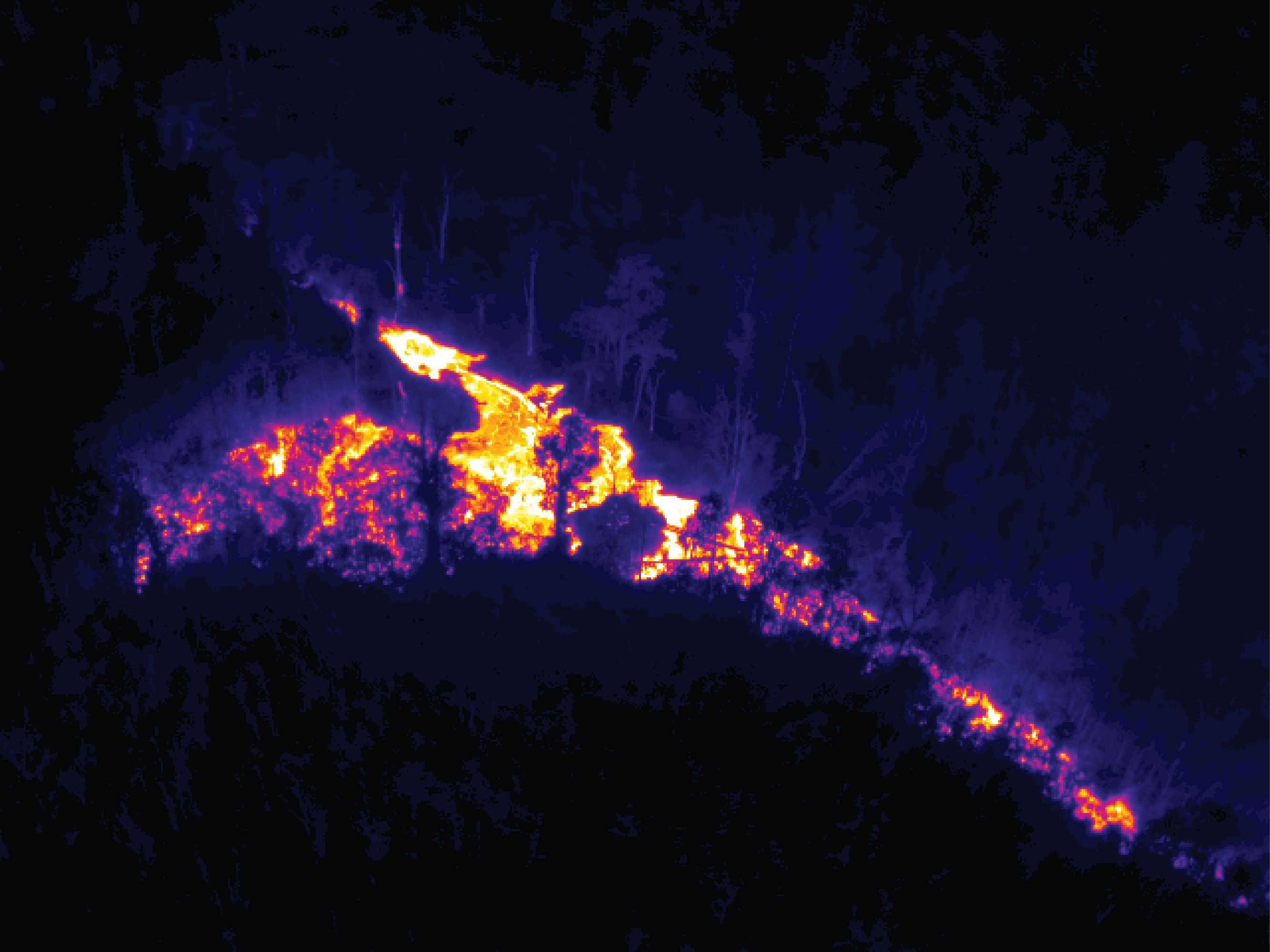 At the far end of the lava-filled crack, lava spilled out towards the north a very short distance. In this view from a thermal camera, the small lobe of lava moving north is easily visible. The trees surrounding the crack show brighter colors as they are heated by the lava flow, but not to the point of combustion. (USGS HVO)