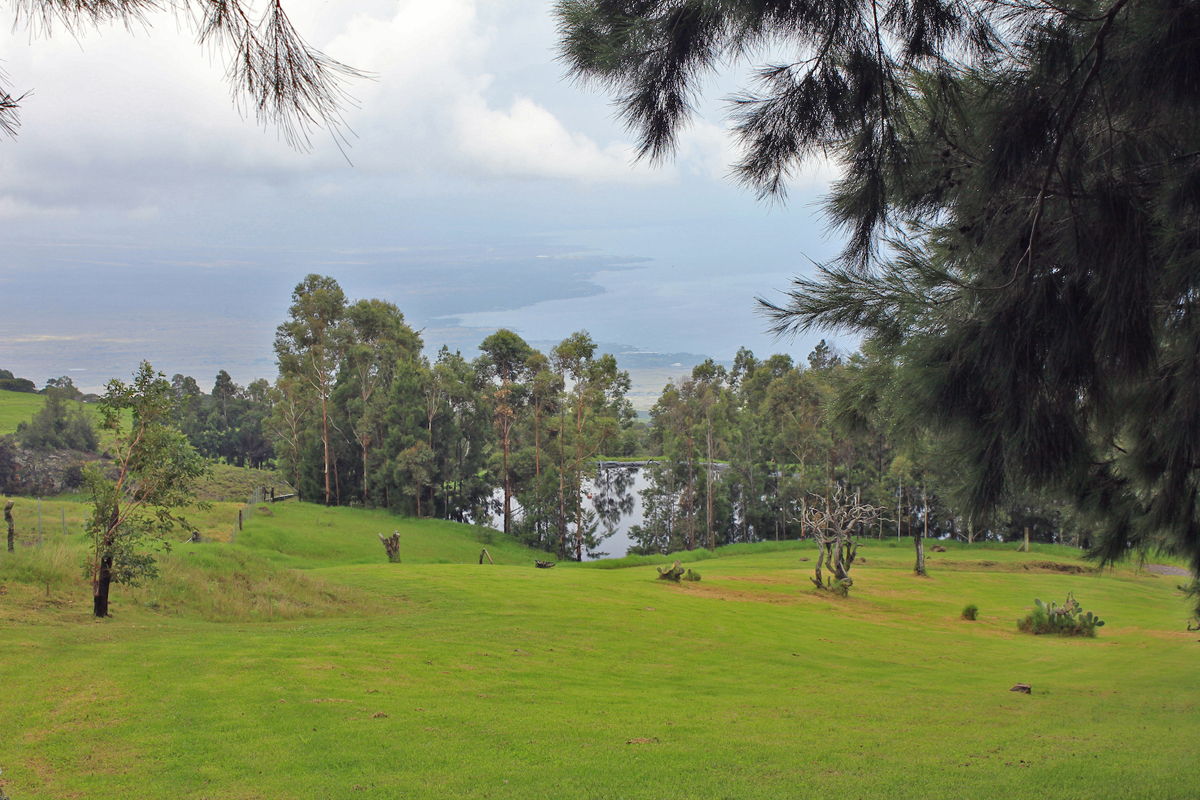 Another view from the ranch on Kohala Mountain, courtesy the Kohala Center.