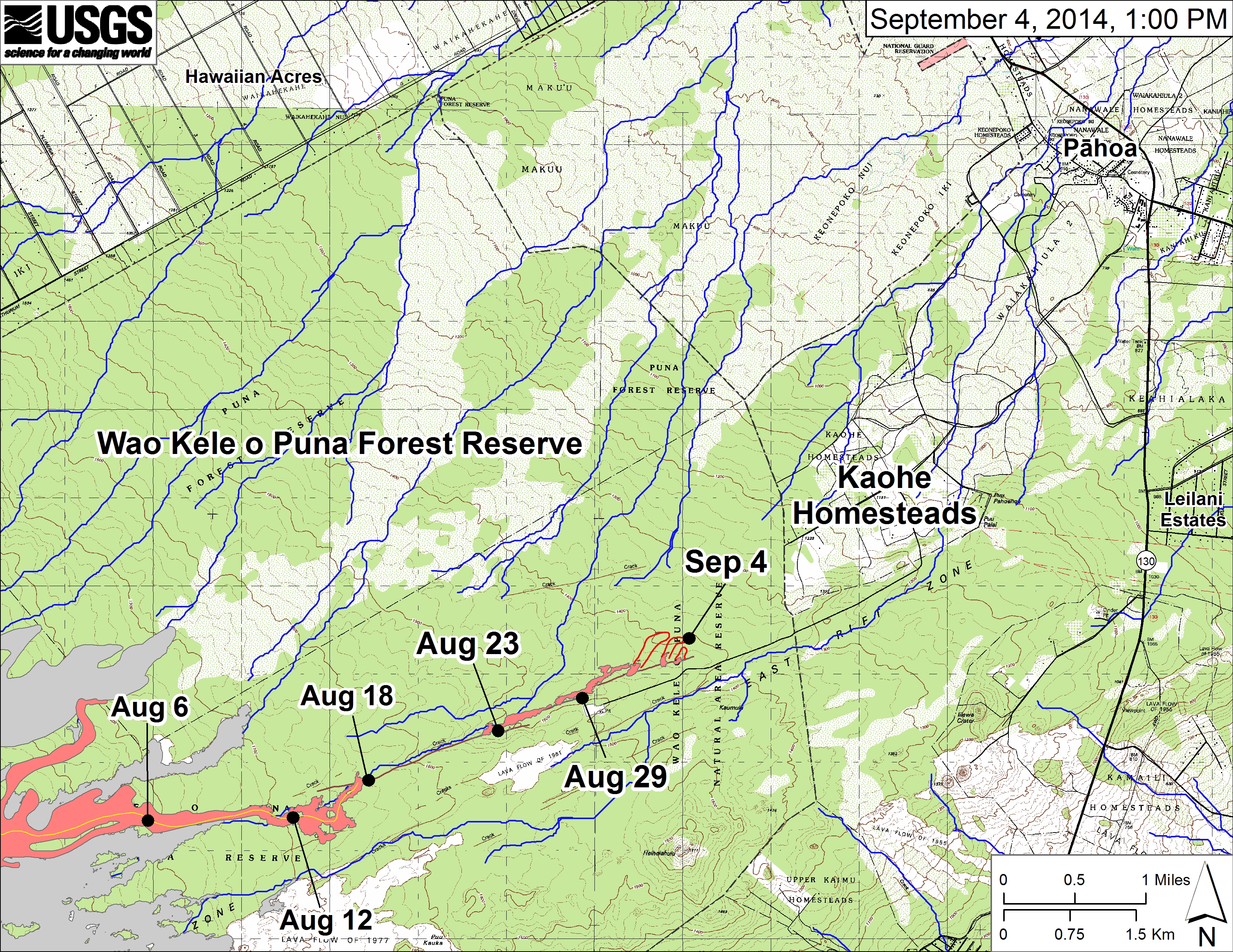 USGS HVO: Large-scale map showing the distal part of the June 27th flow in relation to nearby Puna communities. Flow advancement is illustrated with black dots which show the flow front on specific dates. The most distant surface lava at 1 PM on September 4, outlined in red, was 13.3 km (8.3 miles) from the vent and 1.2 km (0.7 miles) from the east boundary of the Wao Kele o Puna Forest Reserve. September 4 point Lat/Lon position: 19.446211/-154.990149 Decimal Degrees; WGS84. The blue lines show potential flow paths calculated from a 1983 digital elevation model (DEM; for calculation details, see http://pubs.usgs.gov/of/2007/1264/of2007-1264.pdf).