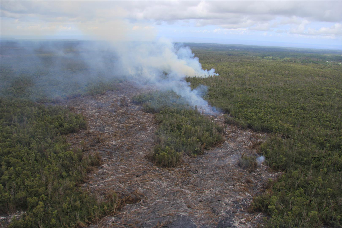 (USGS HVO) View from above the end of the June 27th lava flow, looking along its northeast trend through the Wao Kele o Puna Forest Reserve. On the afternoon of September 10, 2014, the flow front was 0.6 km (0.4 mi) from the boundary between the Forest Reserve and Kaohe Homesteads, visible at far right.