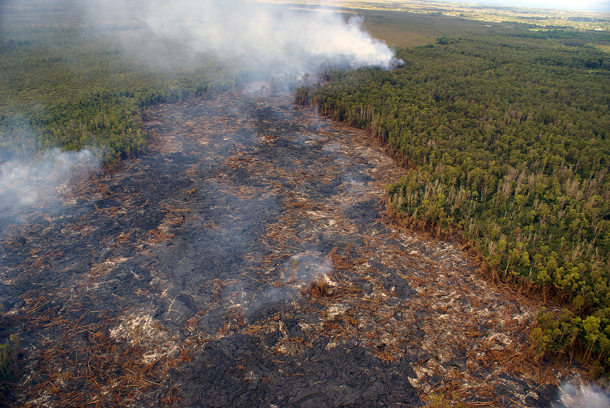 A view looking down the axis of the flow at the flow front, courtesy USGS Hawaiian Volcano Observatory. Pāhoa is in the upper right portion of the photograph.