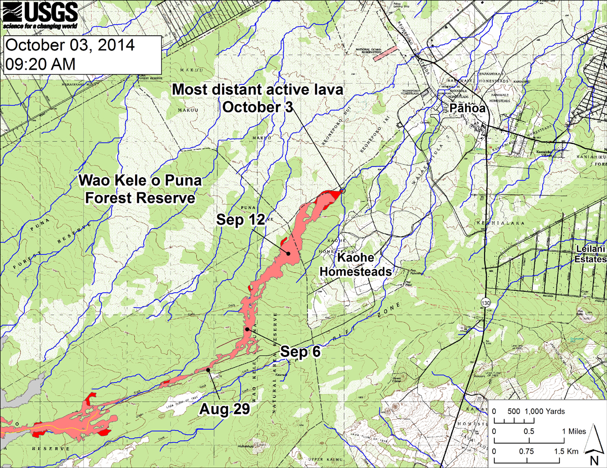 USGS HVO: This large-scale map shows the distal part of the June 27th flow in relation to nearby Puna communities. The black dots mark the flow front on specific dates. Small breakouts were scattered across the leading edge of the flow today. Lava continues to advance downslope and extended the front by about 270 m (295 yards) since our October 1, 2014 over flight. Several breakouts were also active along the margin of the flow upslope of the leading edge and midway along the length of the flow near where lava first entered the crack system. The blue lines show down-slope paths calculated from a 1983 digital elevation model (DEM; for calculation details, see http://pubs.usgs.gov/of/2007/1264/). Down-slope path analysis is based on the assumption that the DEM perfectly represents the earth's surface. DEMs, however, are not perfect, so the blue lines on this map indicate approximate flow path directions.