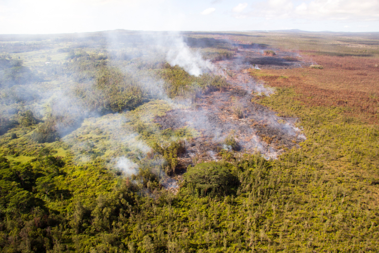 A closer view of the flow front courtesy USGS HVO, burning vegetation at its flow margin.