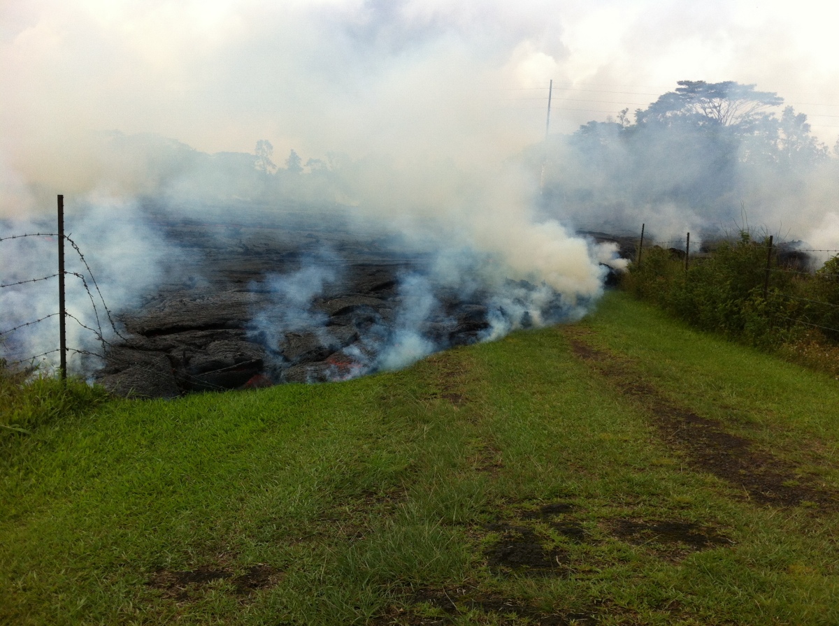 At 11 a.m. Saturday, USGS HVO captured the flow advancing down the grassy driveway that leads to the Pāhoa cemetery. This view is looking upslope towards Apaʻa Street along the cemetery driveway.