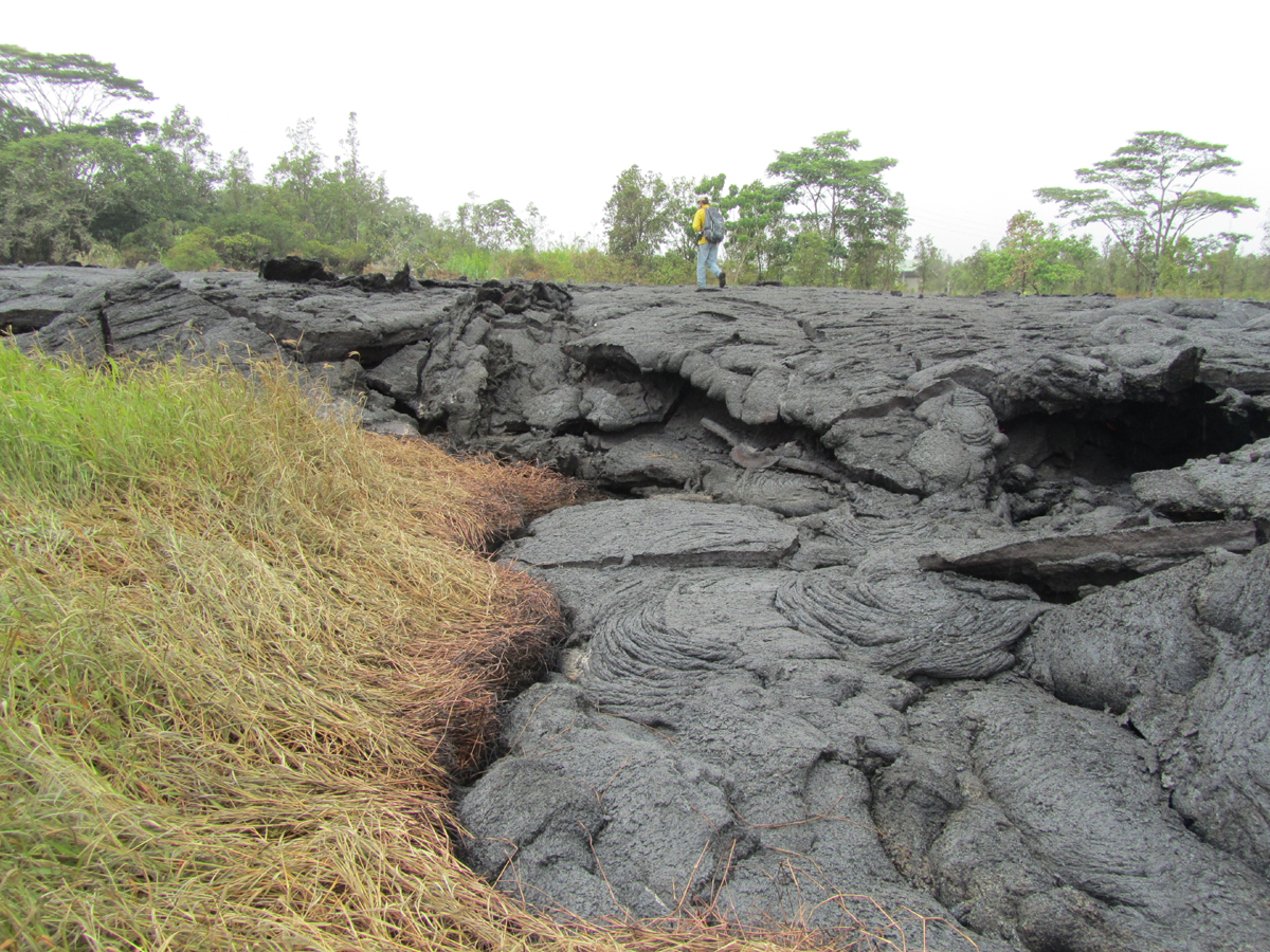 An HVO geologist walks across the surface of the flow, which covers the short access road to the cemetery. As is typical for pāhoehoe, the flow has inflated over the past day was chest high in many places. (USGS HVO)