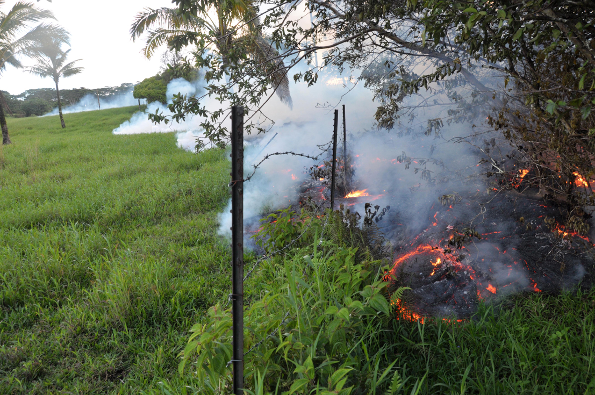 USGS HVO: Late on Sunday afternoon, a barbed wire fence is overrun by lava from the June 27th flow lobe that crossed through the Pāhoa cemetery earlier in the day. To the far left in the distance, a plume of smoke marks the location of the flow lobe that passed southeast of the cemetery and through the pasture.