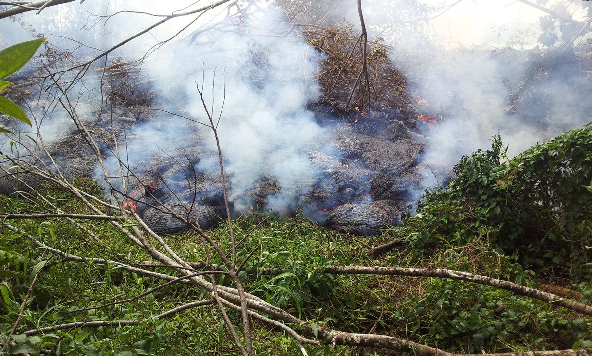 USGS HVO photo shows the June 27th lava flow burning through thick vegetation below the pasture downslope of the Pāhoa cemetery at 11:15 a.m. HST on Monday, October 27, 2014.