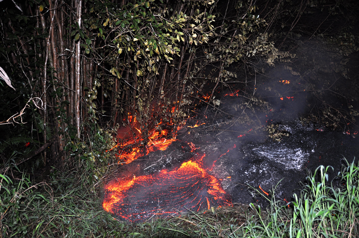 USGS photo: The June 27th lava flow burns vegetation as it approaches a property boundary above Pāhoa early on the morning of Tuesday, October 28, 2014.