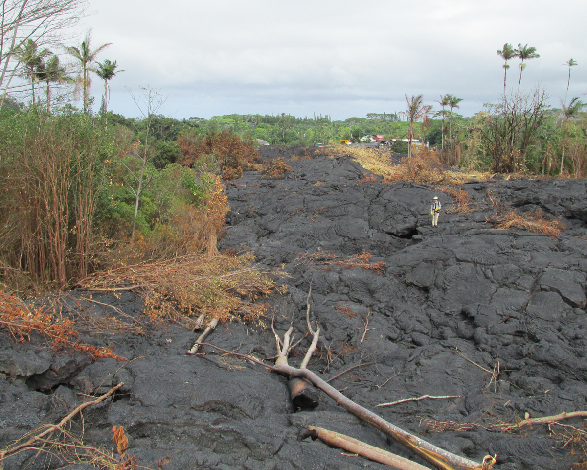 USGS HVO photo shows the inflated flow field below the Pāhoa cemetery looking northeast toward the houses on Pāhoa Village Road. Note geologist in the center of the photo for scale.