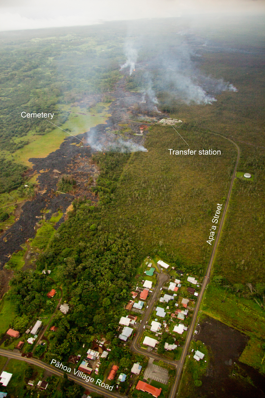 This USGS HVO photo shows the distal part of the June 27th flow looking toward the southwest. The stalled tip of the flow is barely cut off at the left side of the photo.